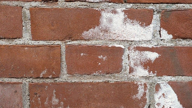 მარილები და ყველაფერი მარილებზე, როგორ დავიცვათ აგური.