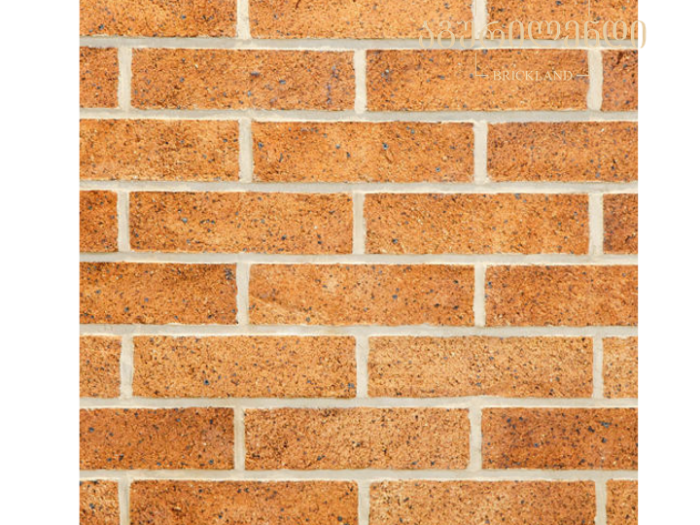 რუსტიკული ფილა