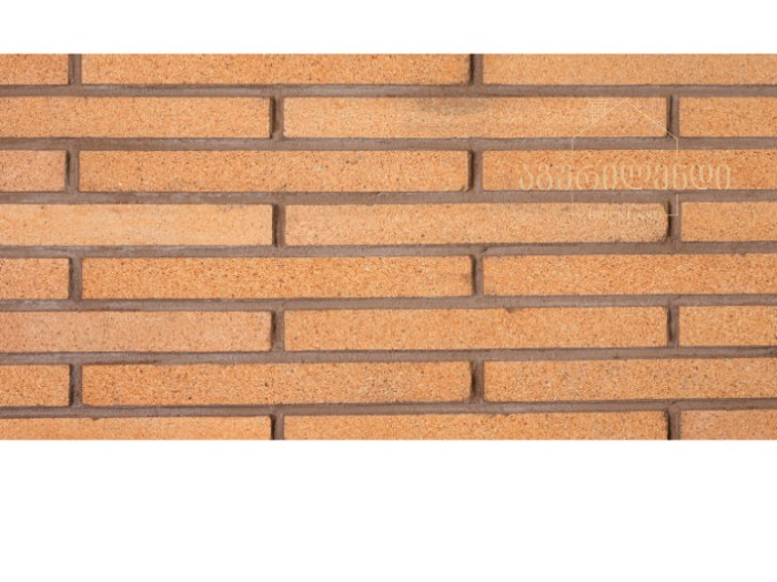 ფილა ვიწრო